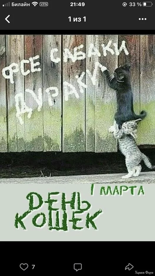 1709334376037.webp