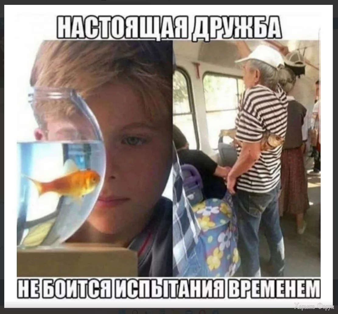 1709395576068.webp