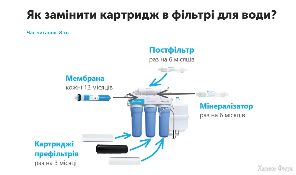 1709409727006.webp