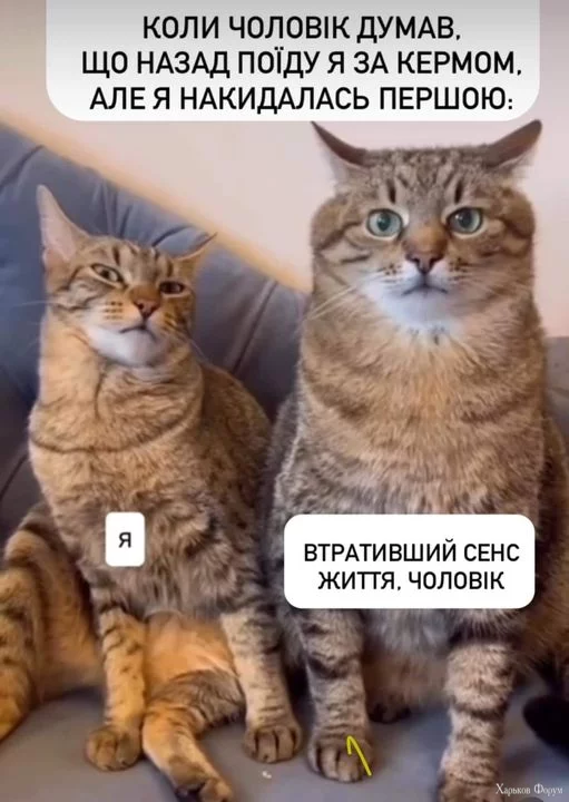 1709473502652.webp
