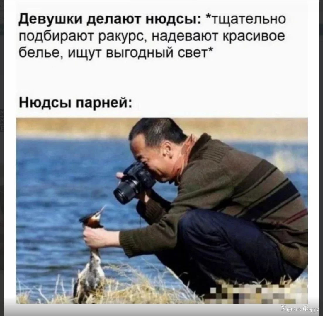 1709580778279.webp