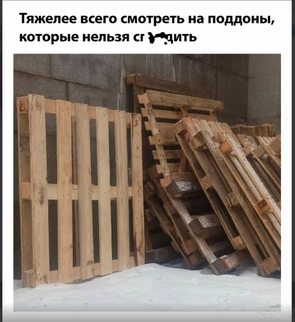 1709580802677.webp