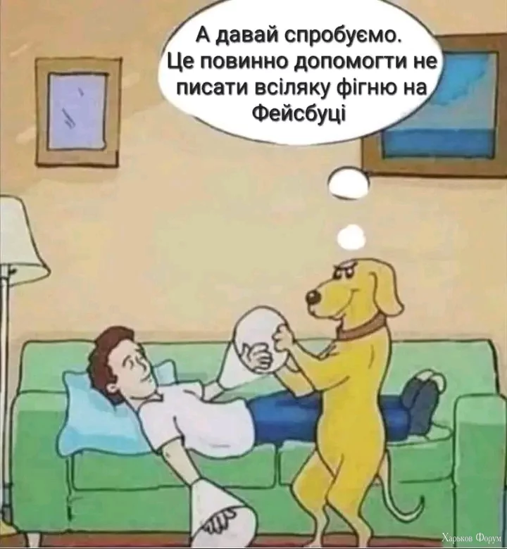 1709665264359.webp