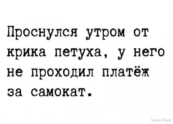 1709679546148.webp