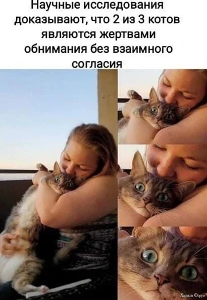 1709681114731.webp