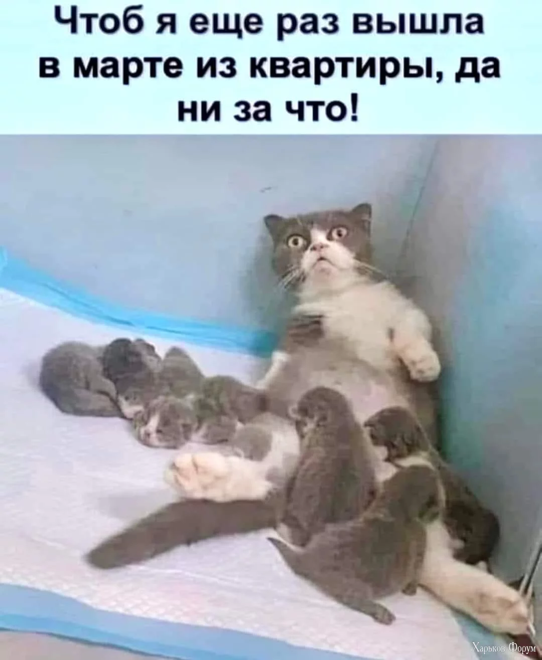 1709762913340.webp