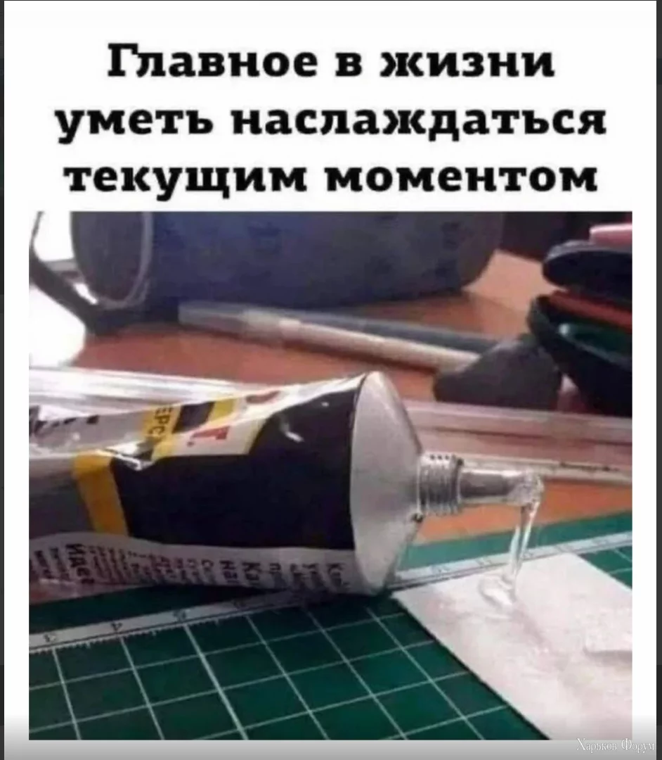 1709837509543.webp