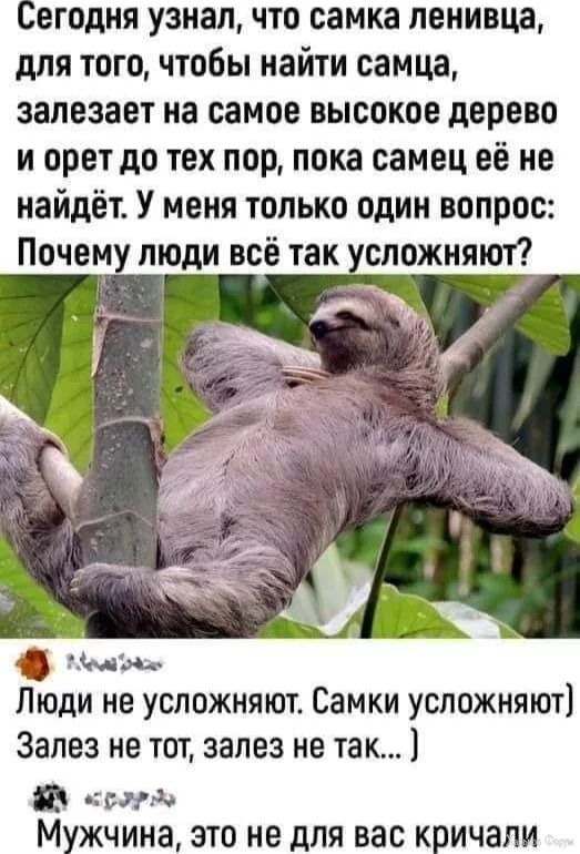 1710093177502.webp