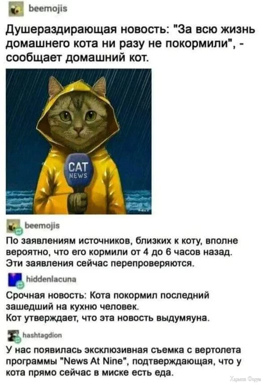 1710102270325.webp