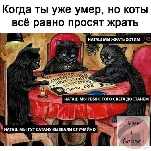 1710244282435.webp