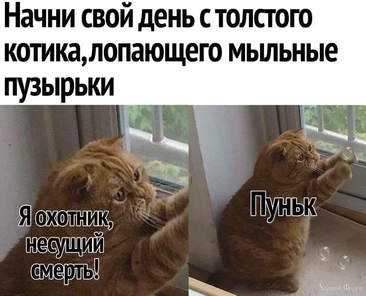1710617092176.webp