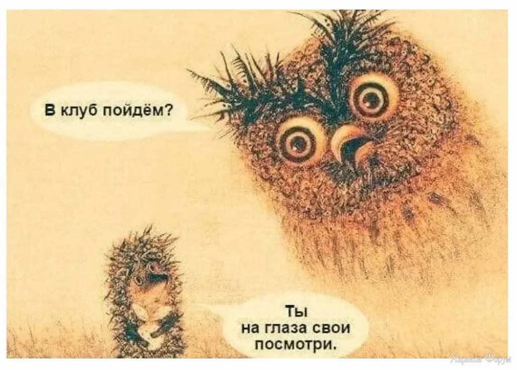 1710953559515.webp