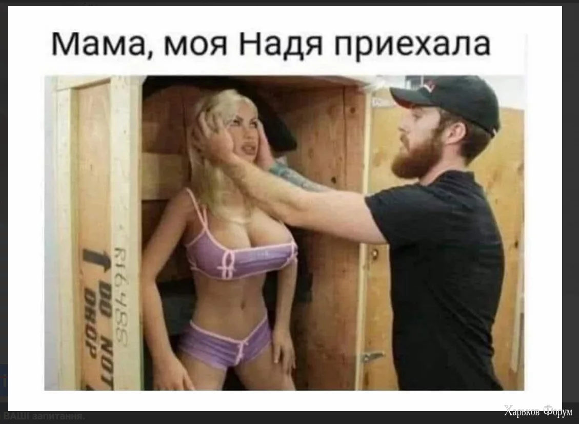 1711051041008.webp