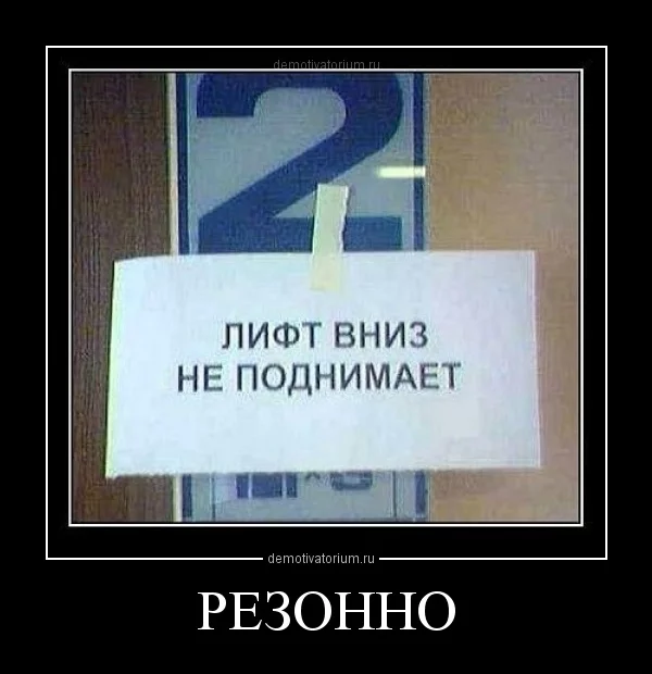 1711121623404556.webp