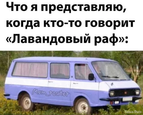 1711841344851.webp