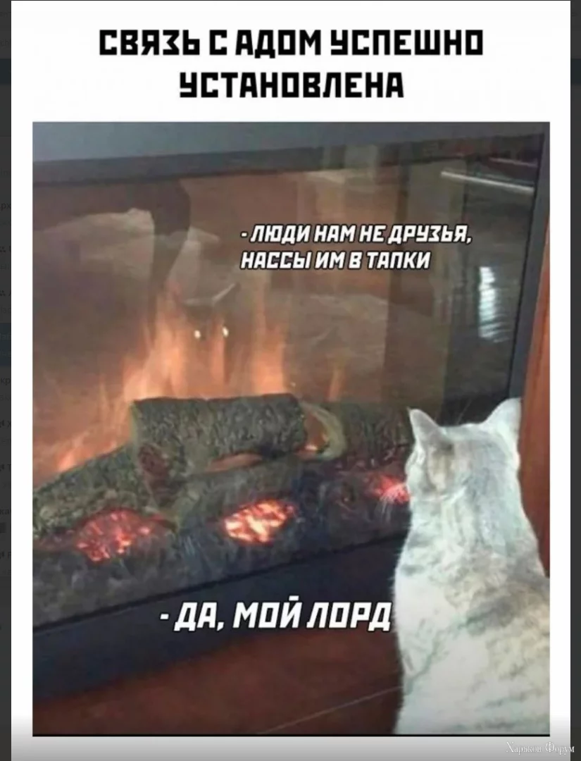 1711912589778.webp
