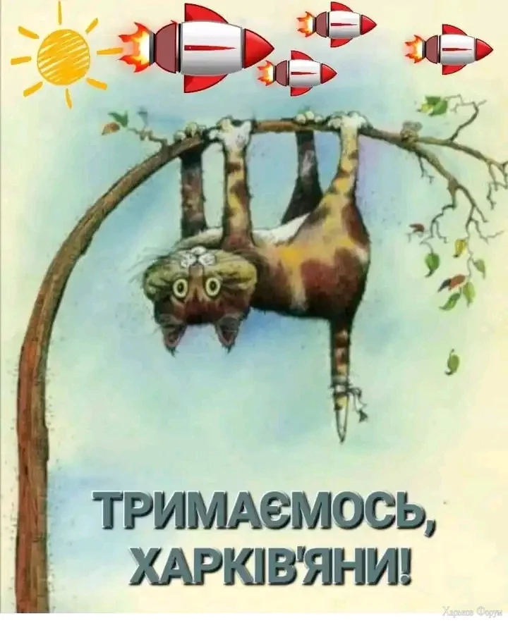 1712088544506.jpg