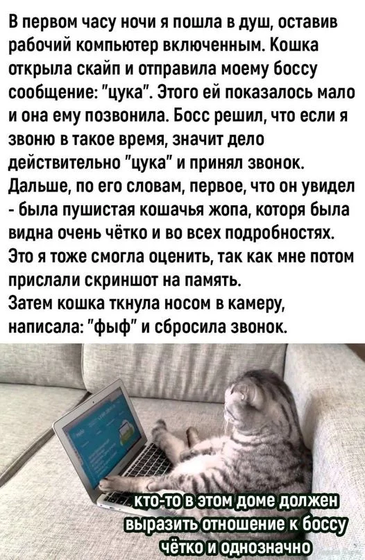 1712688259712.webp