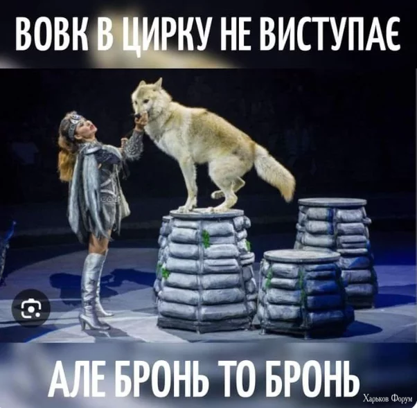 1712829356338.webp