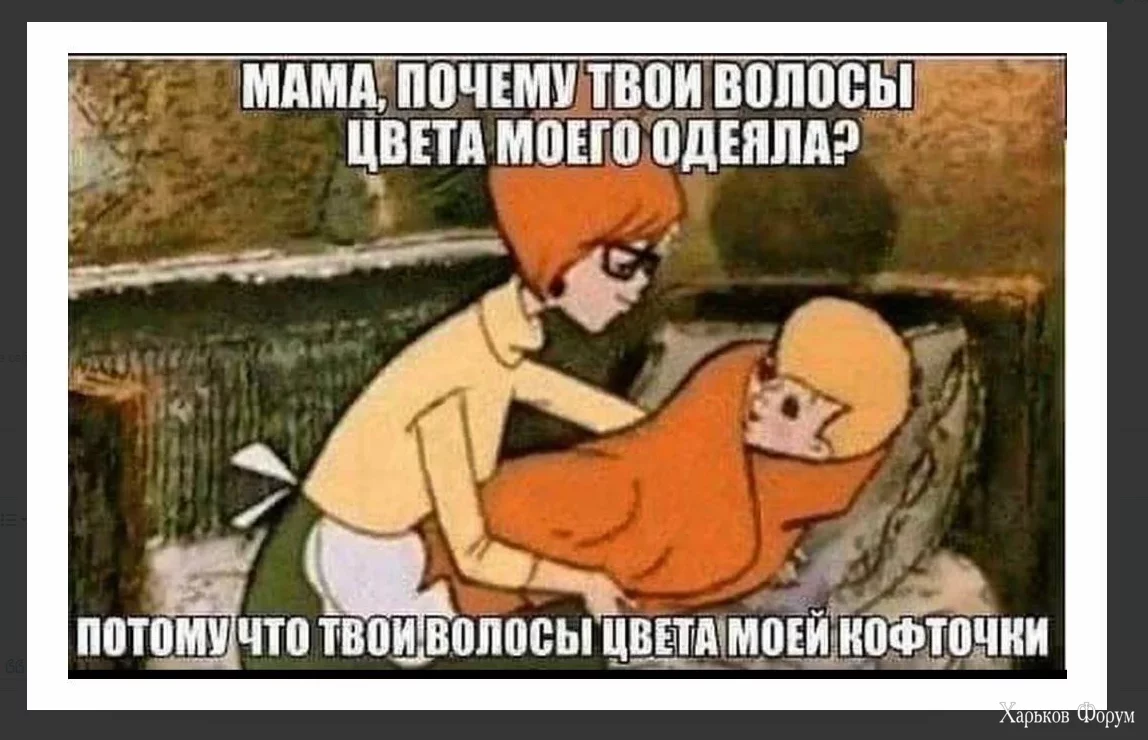 1712850394339.webp