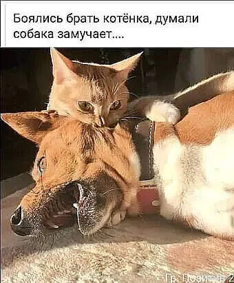 1713290212309.webp