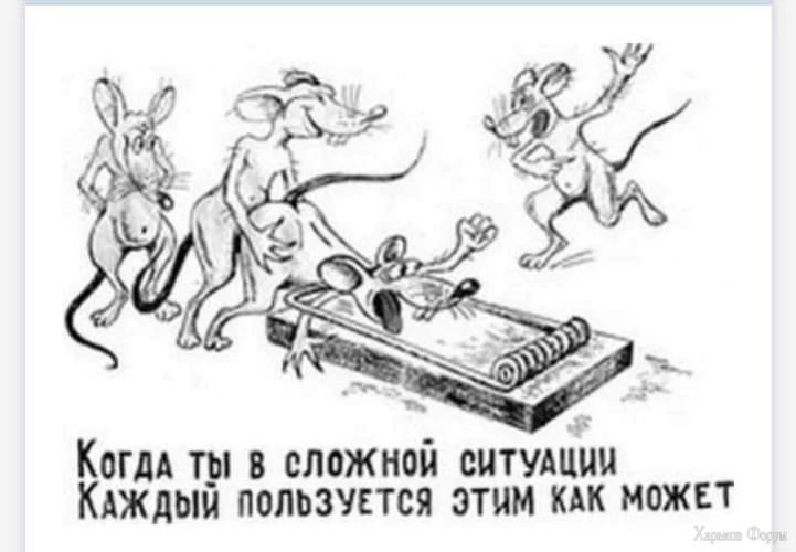 1713626306188.webp