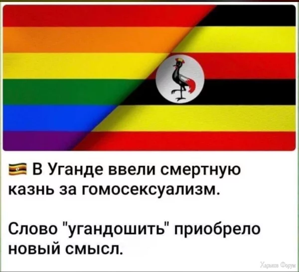 1713652129336.webp