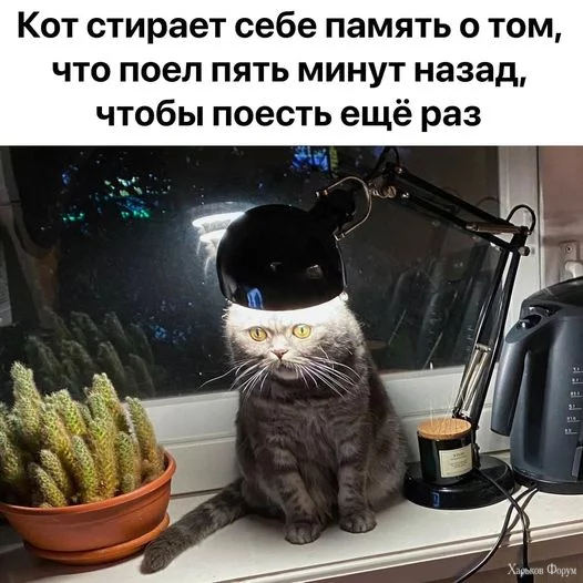 1713807190526.webp