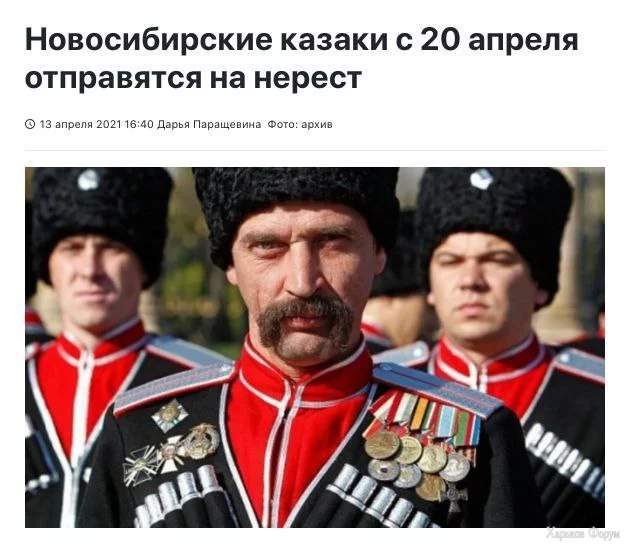 1713913417517.webp