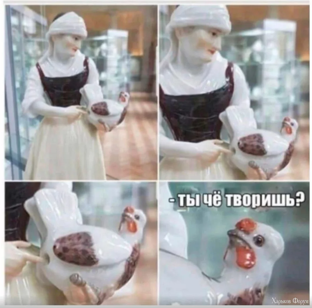 1714229050438.webp