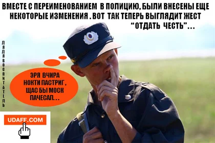 171425.webp