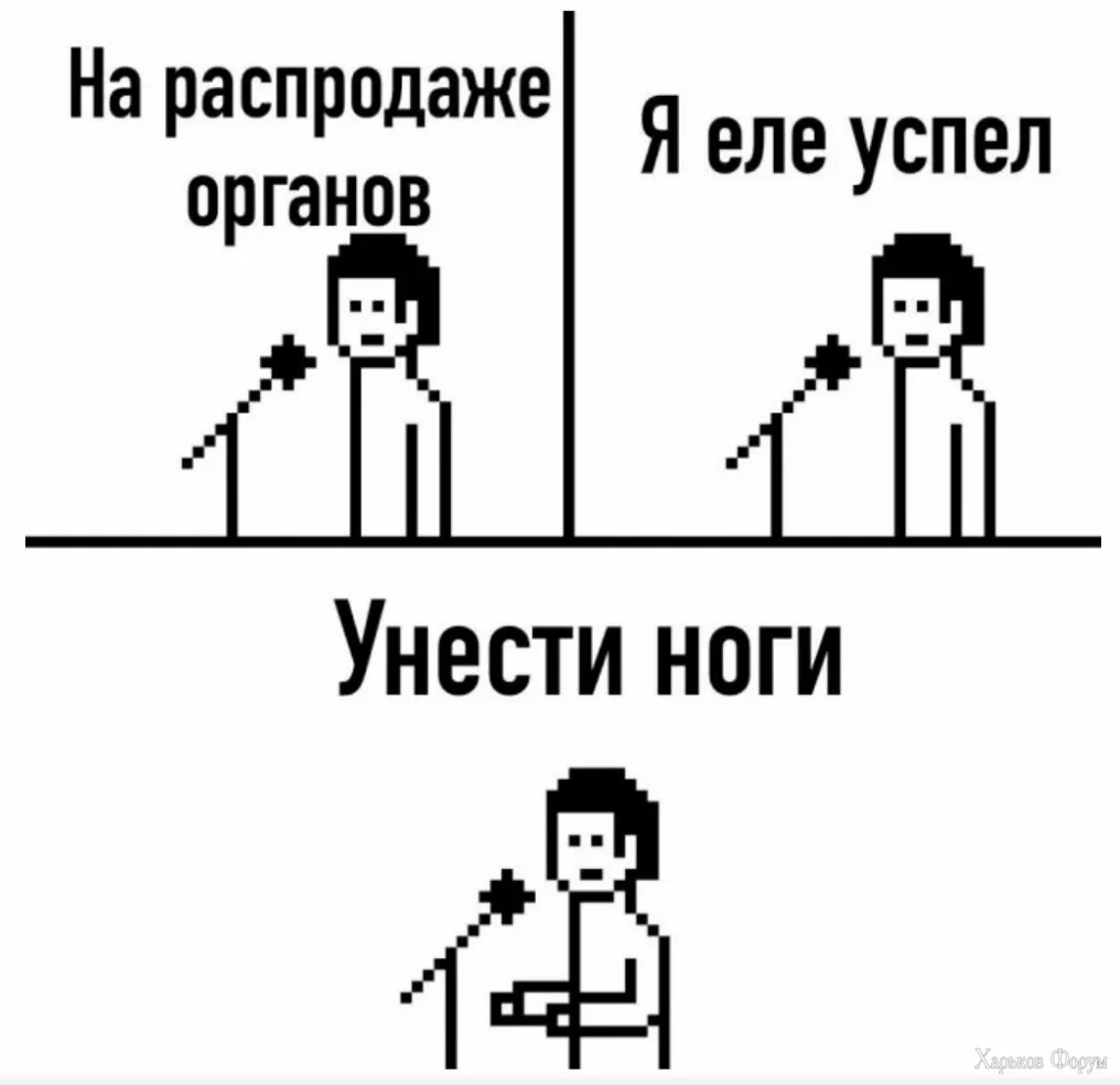 1714309624446.webp