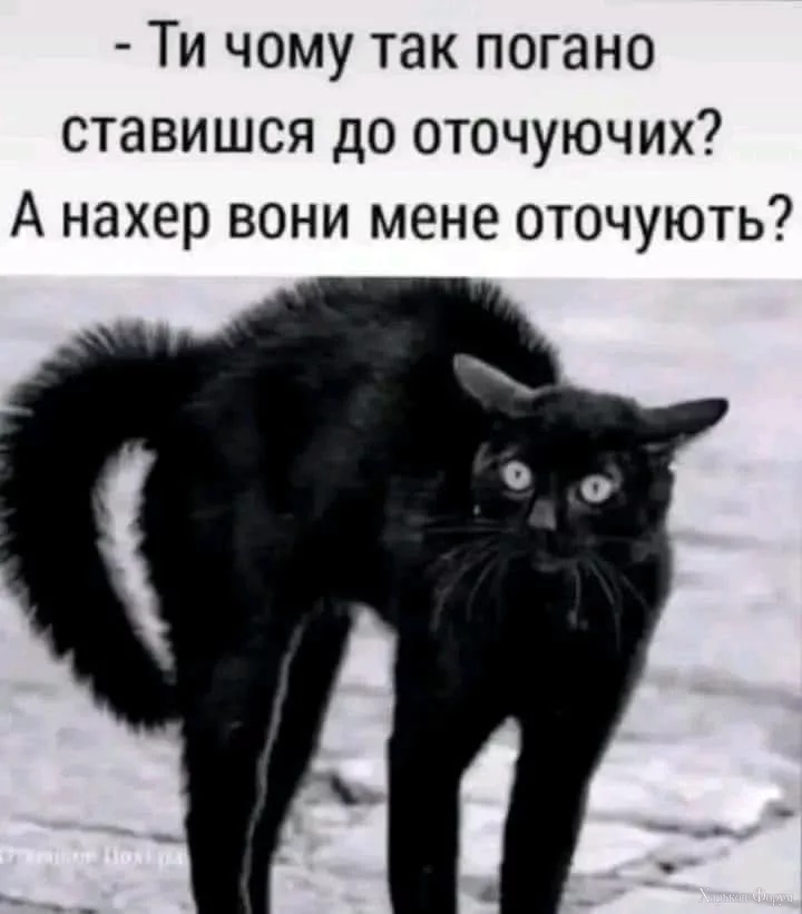 1714404508290.webp