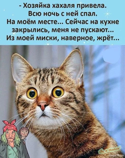 1714419122538.webp