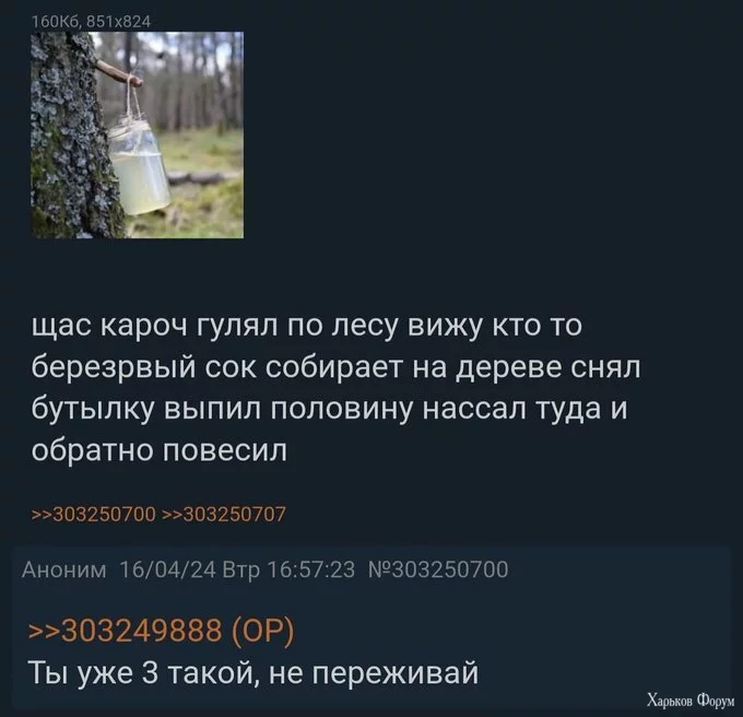1714568181383.webp