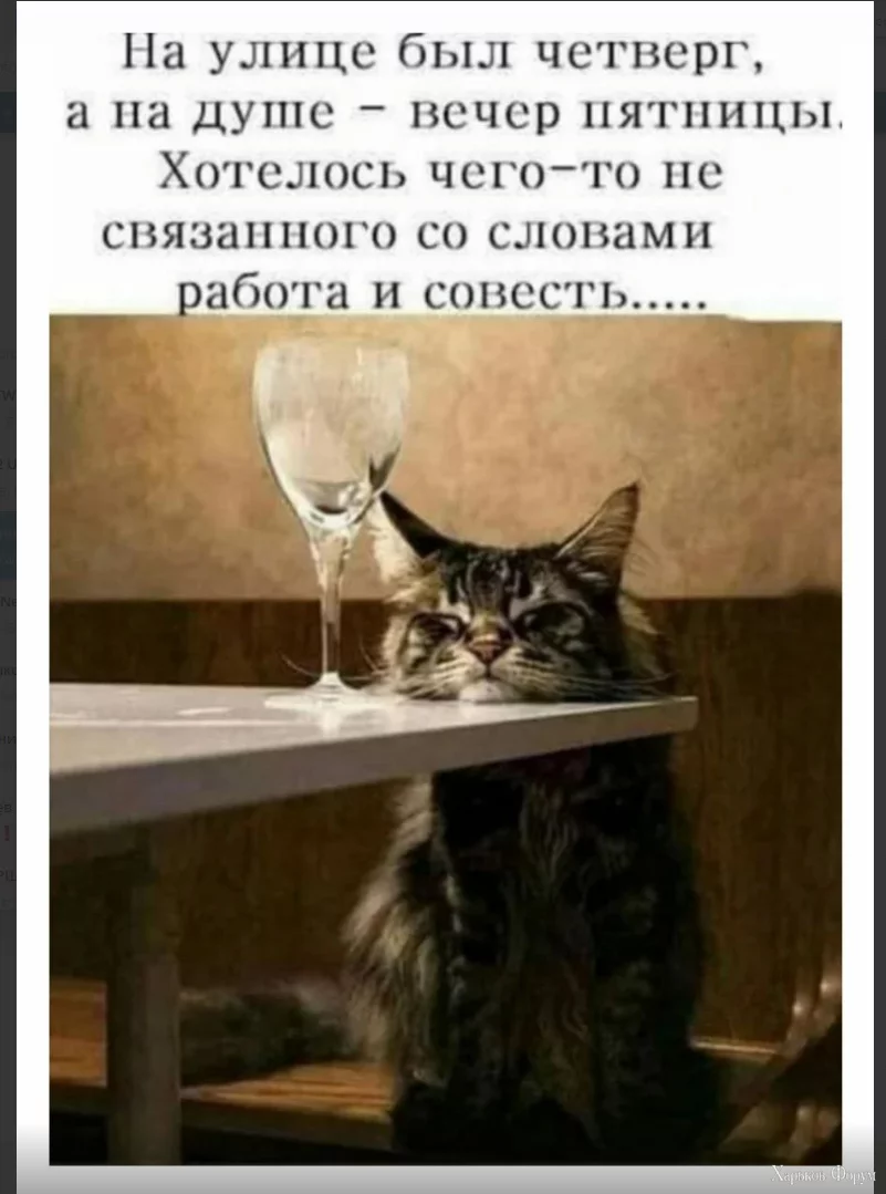1714641611231.webp