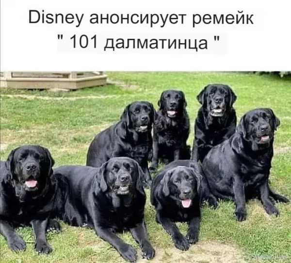 1714689241541.webp