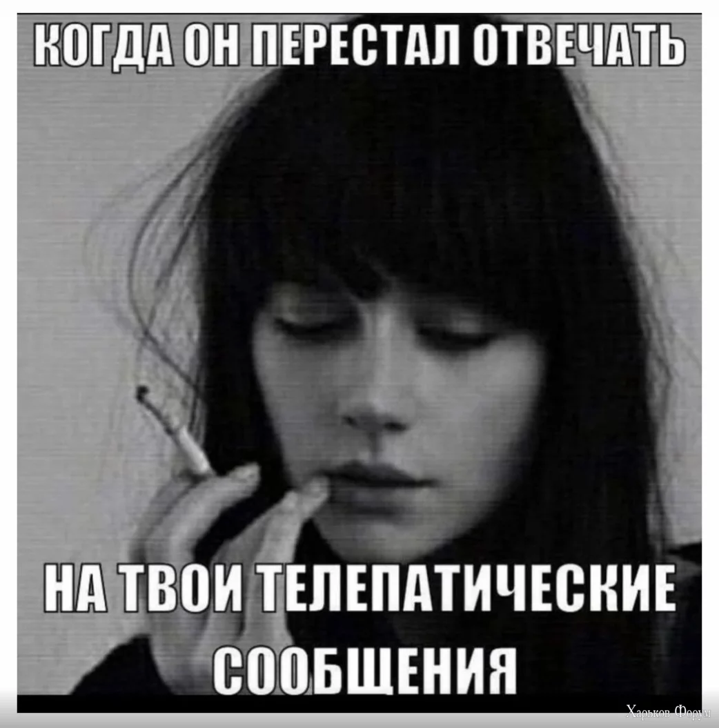 1714755297913.webp