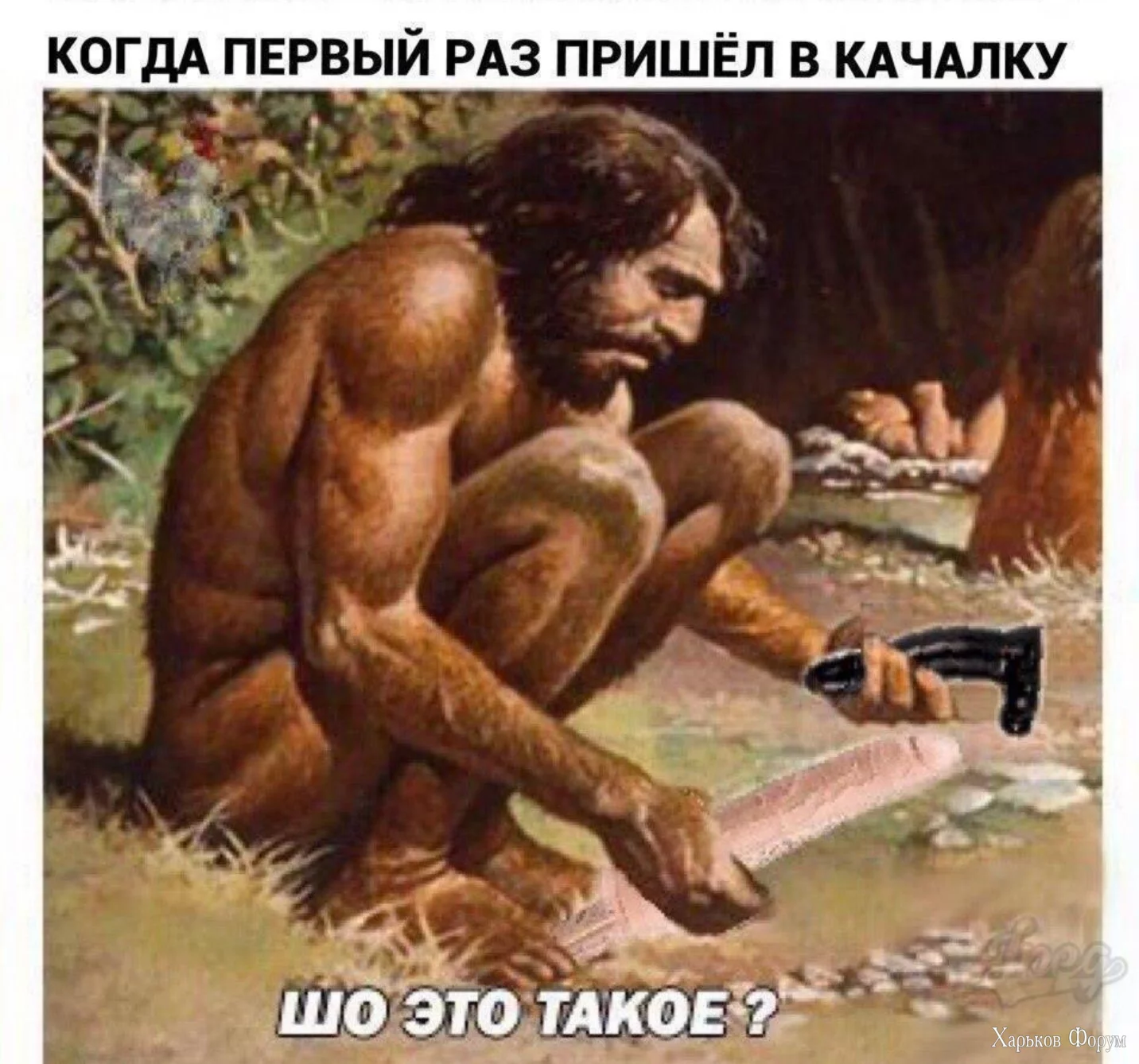 1714814368783.webp