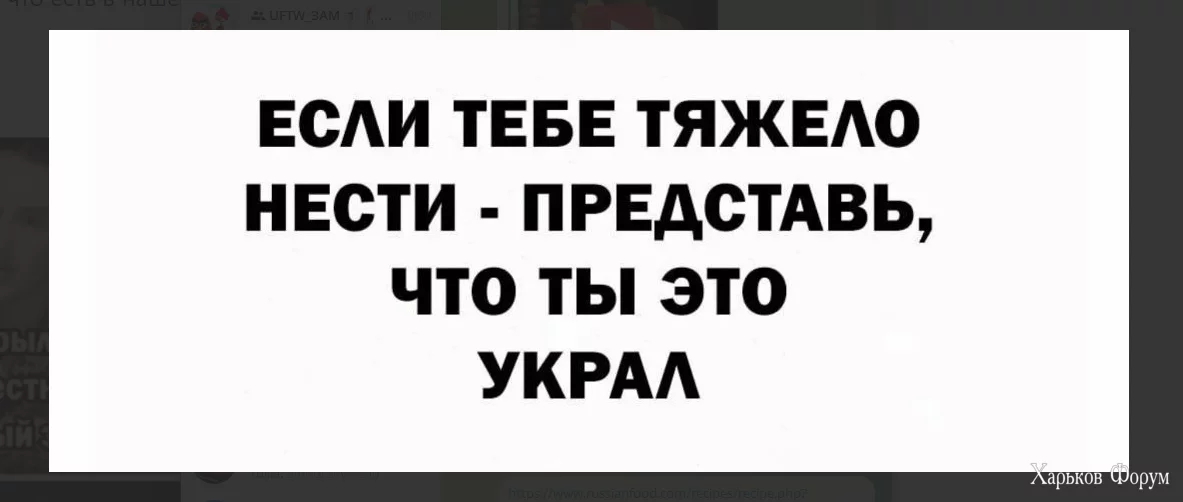 1715102664472.webp
