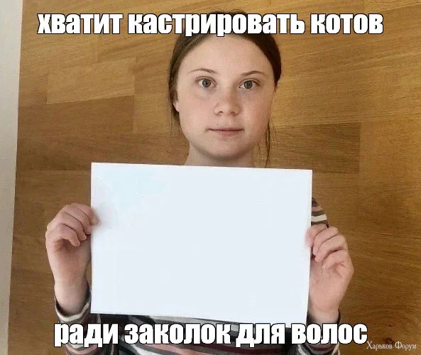 1715623153808.webp