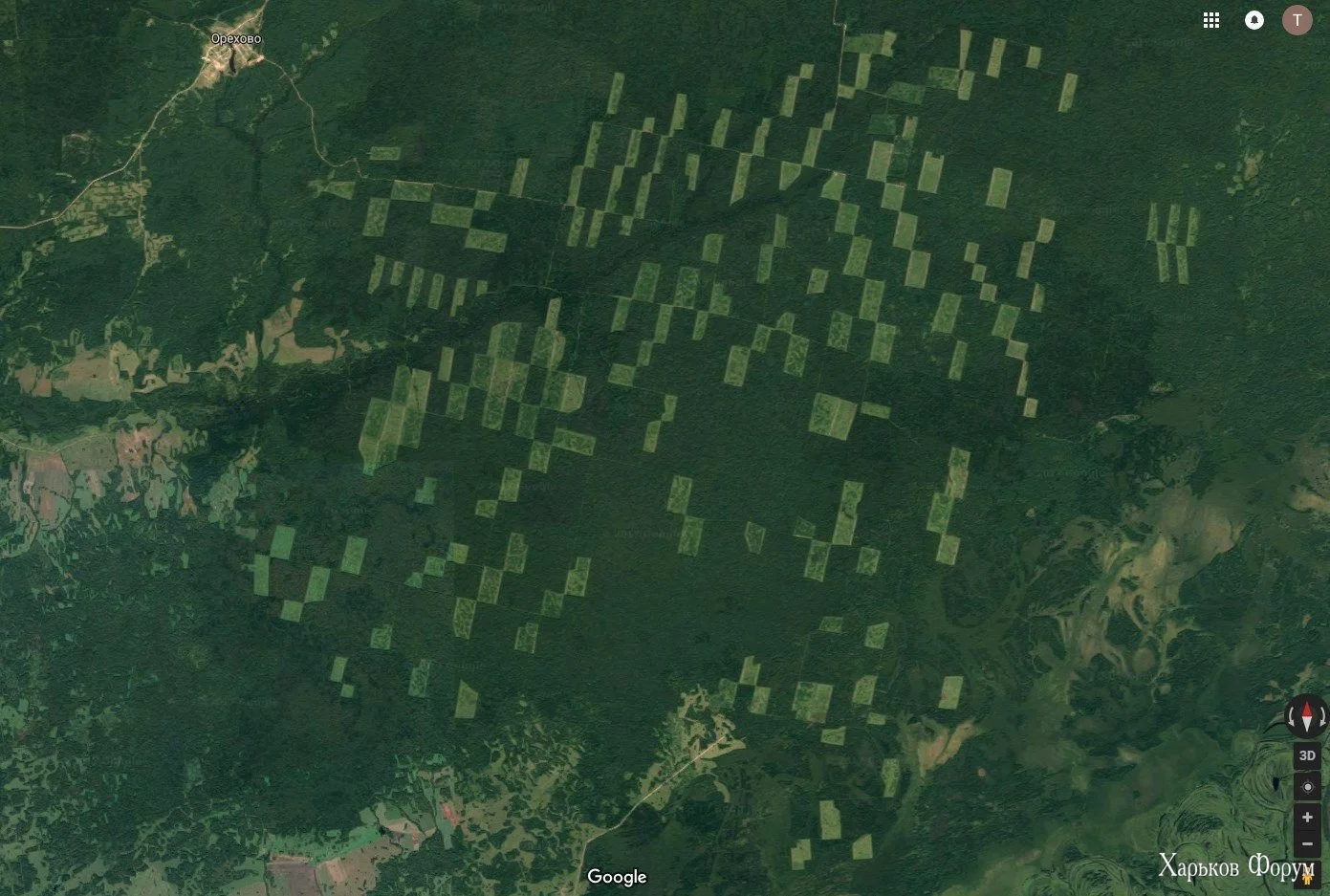 17160578660231.jpg