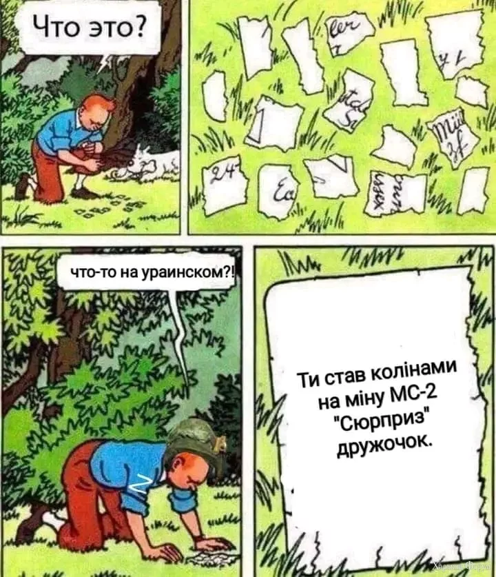 1716527178881.webp
