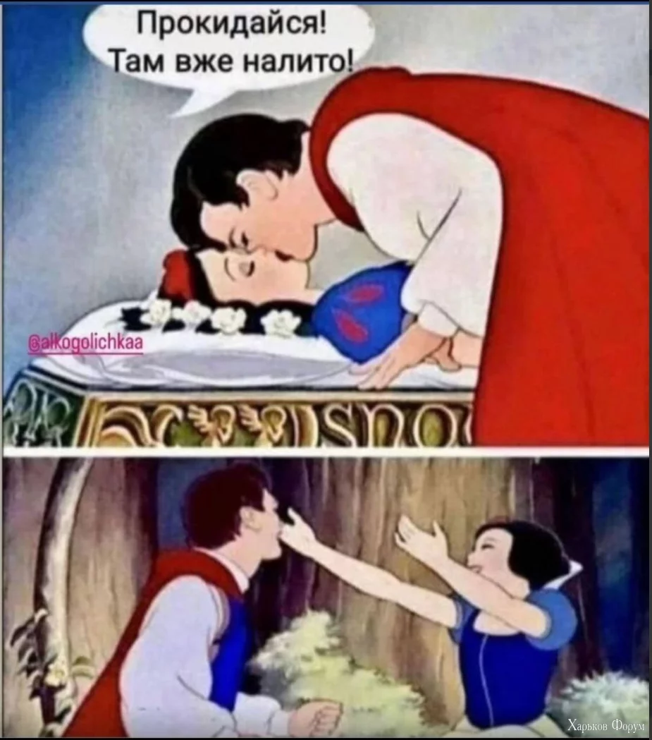 1716573887308.webp