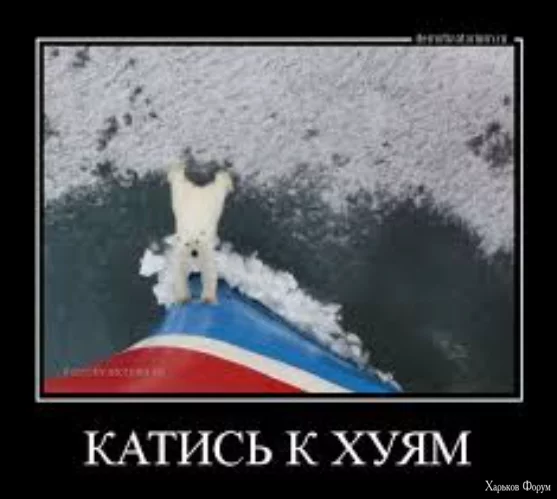 1716640745199.webp