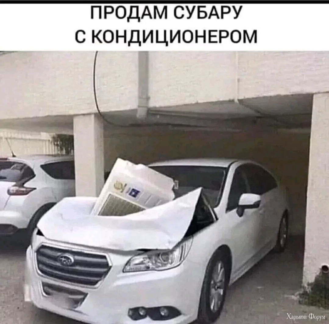1716728582911.webp