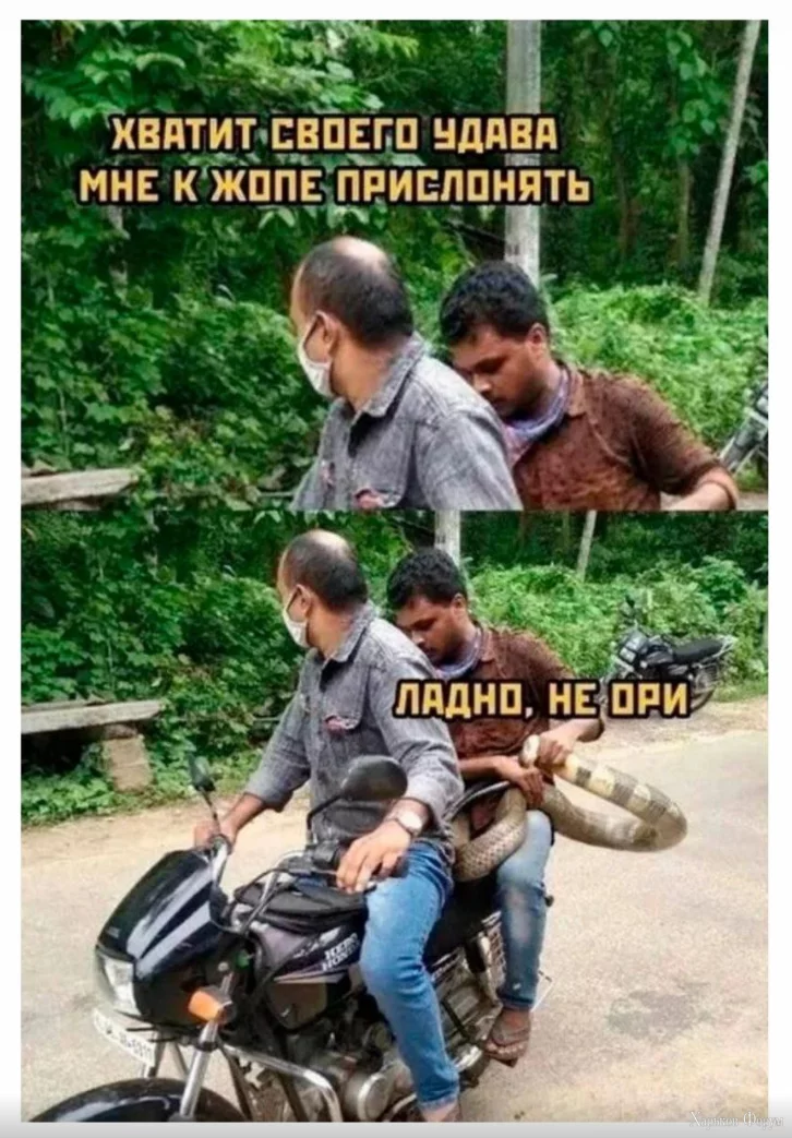 1716986913621.webp