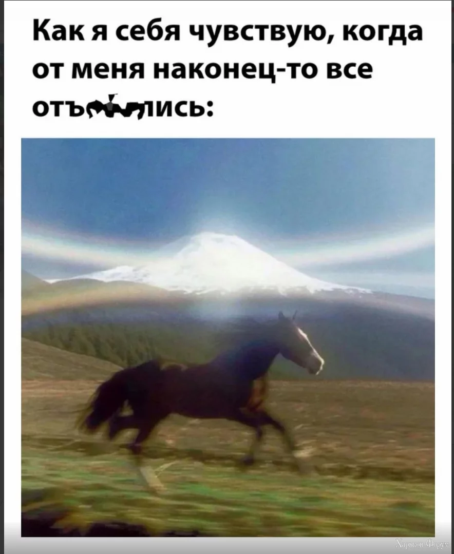 1716986934049.webp