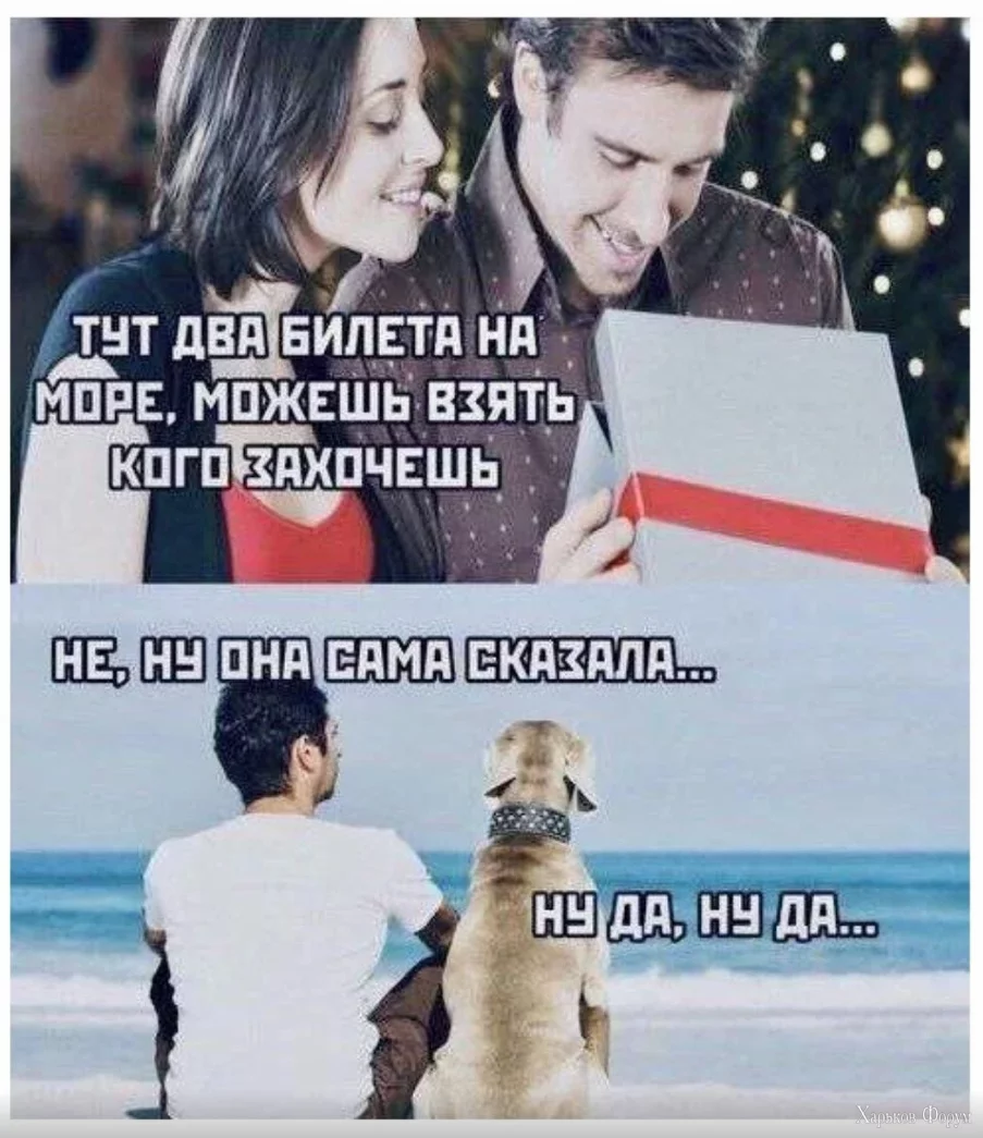 1717238896013.webp
