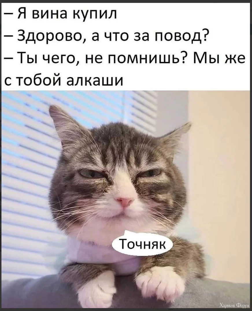1717327479017.webp
